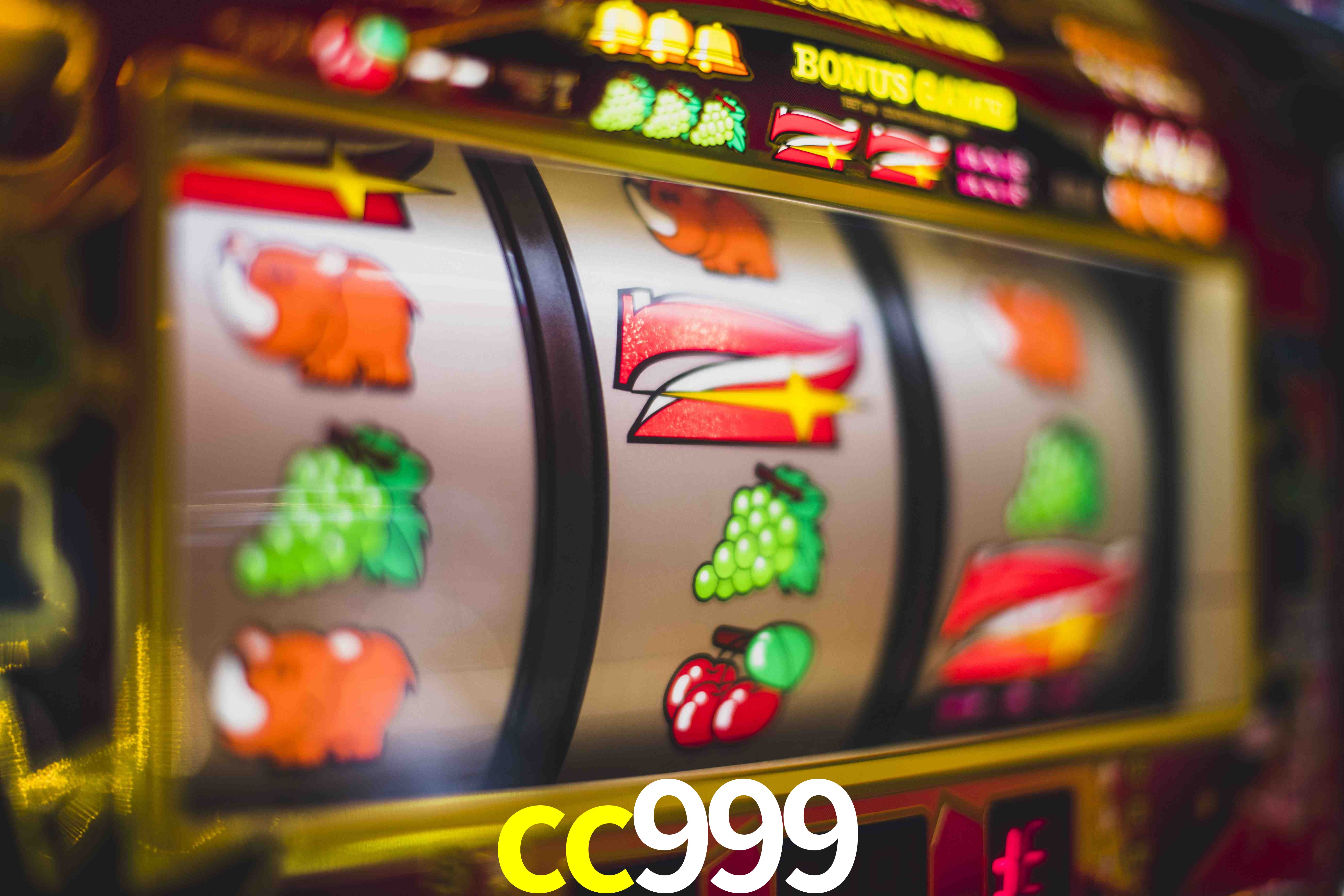 VIP Casino cc999